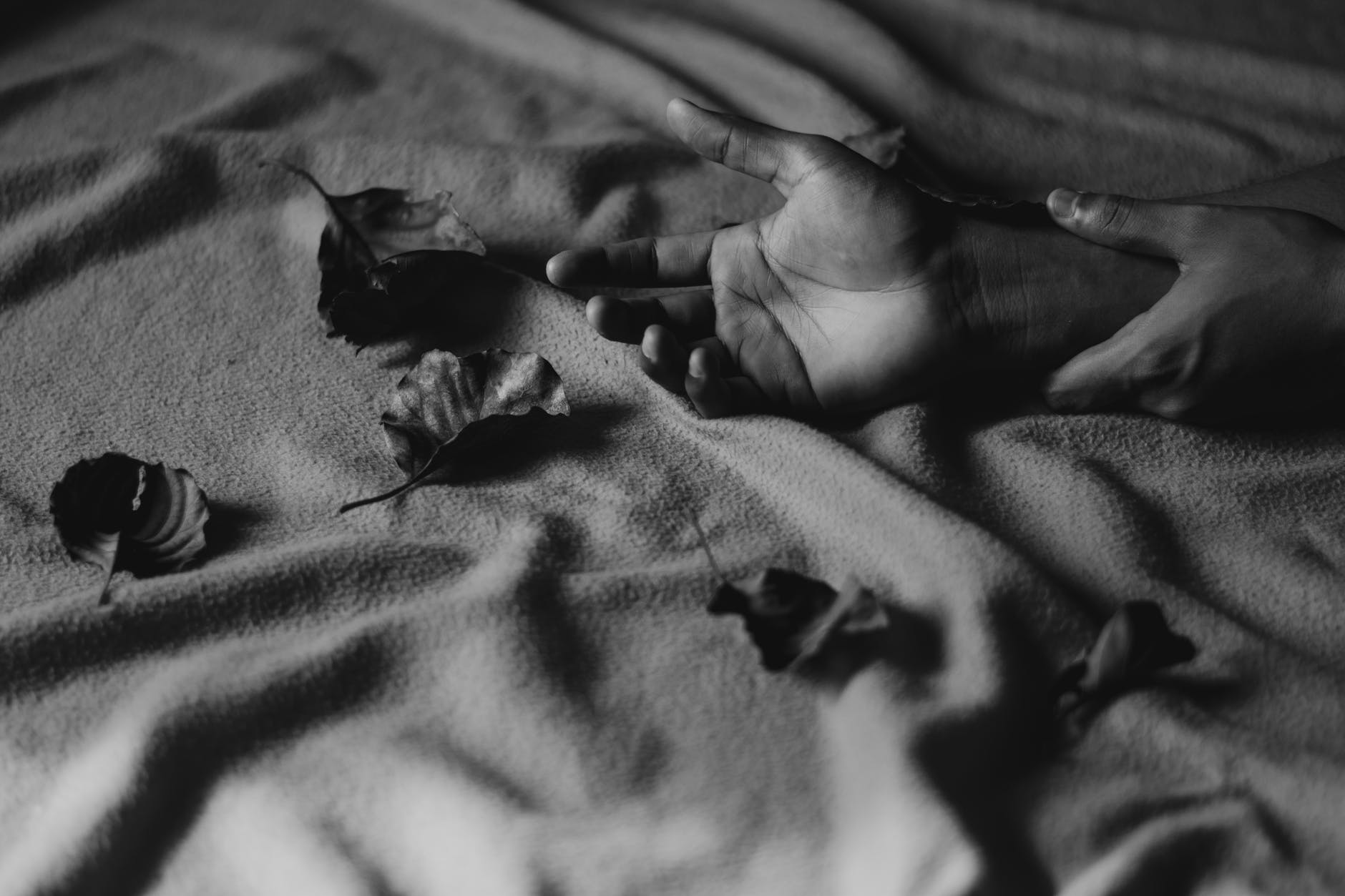 grayscale photography of person s hands on textile with leaves